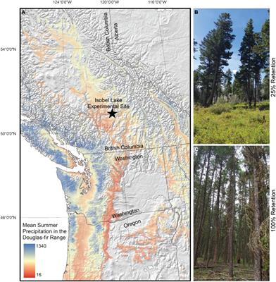 Partial cutting in a dry temperate forest ecosystem alleviates growth loss under drought
